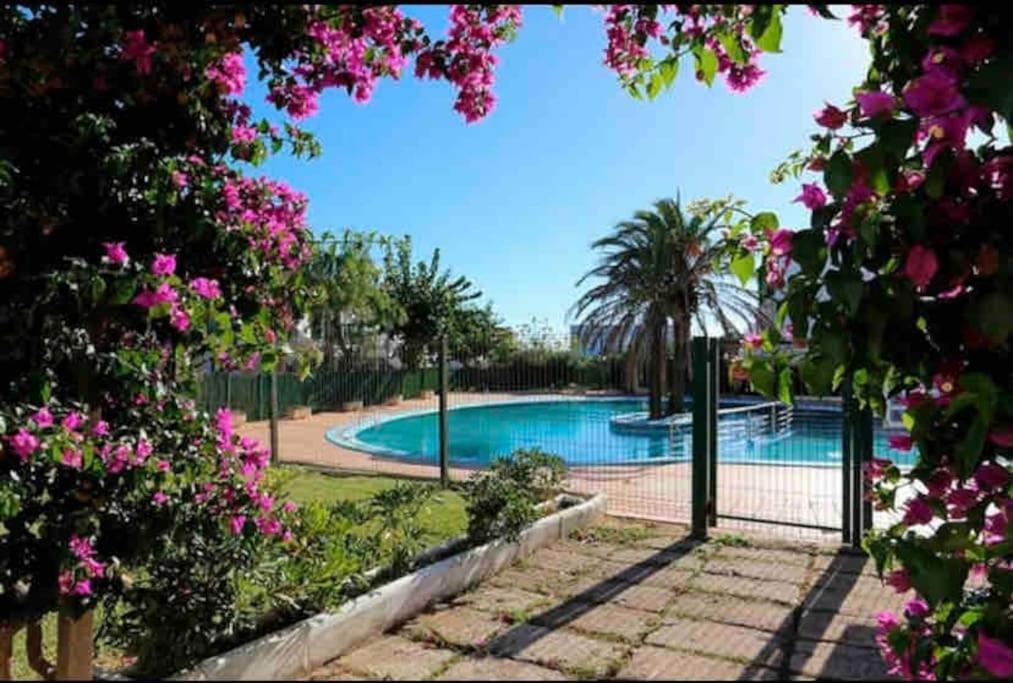 Sa Caleta Blava Apartment Cala'N Blanes  Ngoại thất bức ảnh